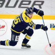hv71 hockeyspelare